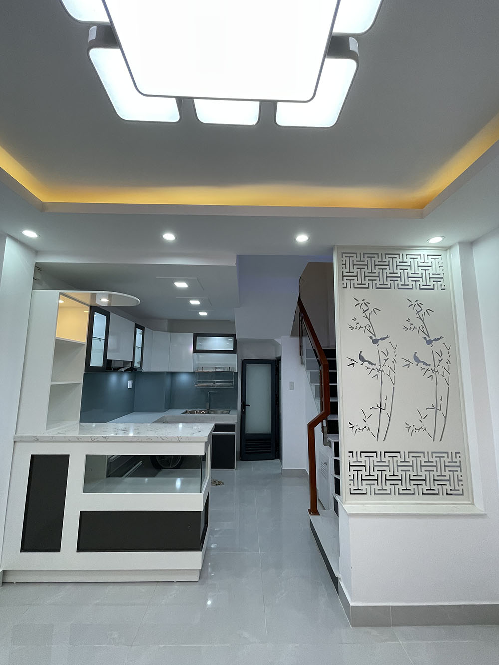 Bán nhà Nguyễn Đình Chính, Quận Phú Nhuận Siêu phẩm 4 lầu t.kế Singapore - gần Nguyễn Văn Trỗi